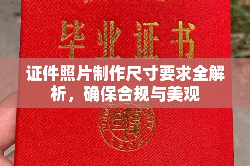 良庆证件照片制作尺寸要求全解析，确保合规与美观