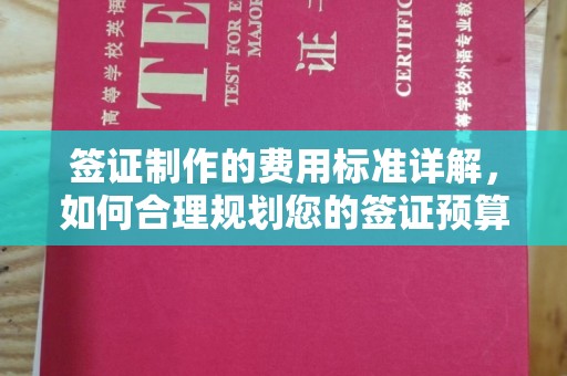 良庆签证制作的费用标准详解，如何合理规划您的签证预算