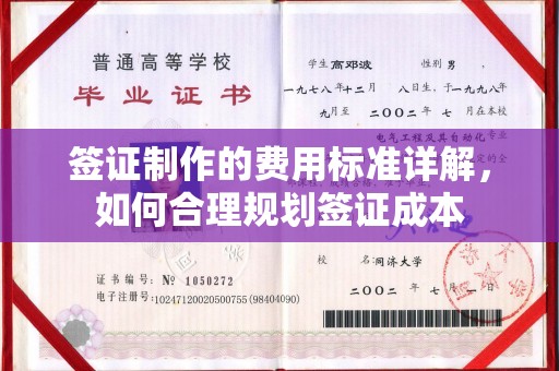 良庆签证制作的费用标准详解，如何合理规划签证成本