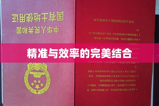 良庆精准与效率的完美结合